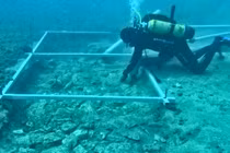 Khám phá con đường đá gần 7.000 tuổi "ngủ vùi" dưới đáy biển