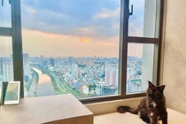 Căn hộ xa hoa như khách sạn 5 sao của Trấn Thành - Hari Won 