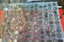 Dùng máy dò kim loại tìm nhẫn cưới bị mất, vô tình phát hiện "kho báu"