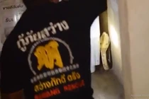 Thất kinh thấy rắn hổ mang chúa ngay cạnh máy giặt