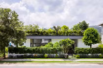 Ngôi nhà như công viên thu nhỏ với thiết kế "vườn bậc thang" trên mái