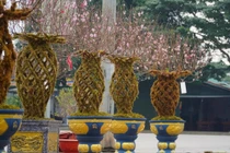 Đào lộc bình độc lạ “cháy hàng” dịp Tết Giáp Thìn 2024 