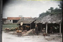 Ngắm loạt ảnh màu về đời sống vùng nông thôn Hà Nội 1914-1915