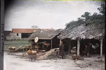 Ngắm loạt ảnh màu về đời sống vùng nông thôn Hà Nội 1914-1915