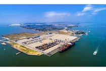 Kinh doanh vận tải sẽ được giảm 50% phí?