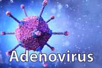 Cách phòng tránh và chữa trị Adenovirus