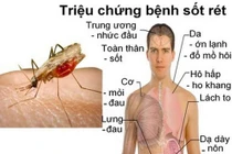 Việt Nam có 42 tỉnh, thành loại trừ bệnh sốt rét