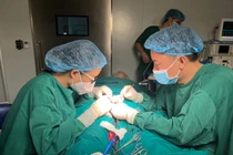 Các bác sĩ thực hiện vi phẫu thuật tinh hoàn tìm tinh trùng cho bệnh nhân