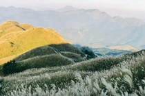 Về Bình Liêu mùa cỏ lau