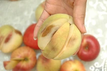 4 thói quen phổ biến “mời gọi” ung thư, cần tránh ngay 