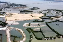 Công ty Thị Nại Eco Bay bao lần bị gọi tên vì nợ thuế?