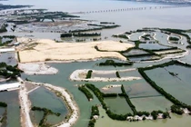 Công ty Thị Nại Eco Bay bao lần bị gọi tên vì nợ thuế?