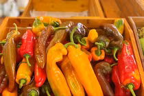 “Sốt” ớt, cà chua socola giá bèo