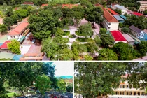 Trường THPT Đồng Lộc, Hà Tĩnh: 50 năm “trồng người” nơi cõi thiêng bất tử