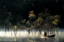 Đẹp ma mị suối Tía - Đà Lạt 