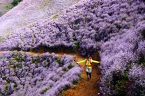 Kinh nghiệm chinh phục đỉnh Tà Chì Nhù