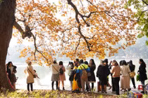 Mê đắm cảnh sắc trời thu châu Âu giữa lòng Hà Nội