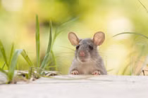 Sau 10/10, 3 tuổi tăng lương, tăng thưởng ầm ầm, tiền tiêu cả núi 