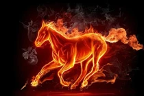 Từ 1/12 âm: 4 tuổi sa chân hũ nếp, đổi vận sang giàu