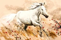 Lộc rót đầu năm 2025: 5 con giáp phúc khí vô biên, tắm trong biển tiền