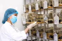 Những “bóng hồng” đam mê sáng tạo