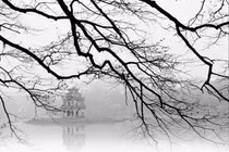 Thời tiết ngày 8/1: Miền Bắc rét đậm, có nơi dưới 5 độ C