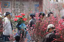 Tết Nguyên đán 2025: Miền Bắc trời rét đậm