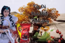 Táo đỏ và loạt sản phẩm "biến mất" khỏi kênh bán hàng của Hằng Du Mục