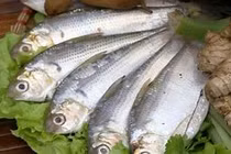 Loại cá “siêu thực phẩm”, giúp chắc xương, cải thiện sức khỏe mắt