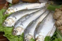 Loại cá “siêu thực phẩm”, giúp chắc xương, cải thiện sức khỏe mắt