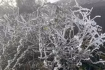 Bắc Bộ rét đậm, vùng núi dưới 5 độ