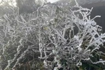 Bắc Bộ rét đậm, vùng núi dưới 5 độ