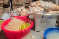 Ninh Bình tiêu hủy 100kg ruốc gà không rõ nguồn gốc 