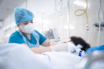 Bé trai 10 tuổi hôn mê do bị nhánh cây rơi trúng đầu 