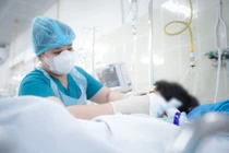 Bé trai 10 tuổi hôn mê do bị nhánh cây rơi trúng đầu 