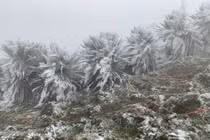 Thời tiết hôm nay (05/02): Vùng núi Bắc Bộ rét đậm, rét hại