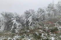 Thời tiết hôm nay (05/02): Vùng núi Bắc Bộ rét đậm, rét hại