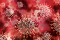 Nga phát hiện virus lạ nguy hiểm gây sốt và ho ra máu