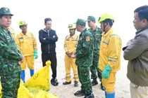 Phát hiện hơn 30 tấn dầu vón cục trôi dạt vào bờ biển thành phố Huế