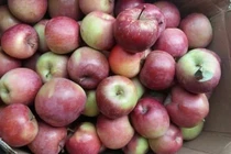 Loại quả ăn mỗi ngày giàu chất dinh dưỡng, ngừa 8 loại ung thư