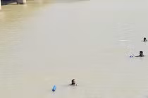 Tìm thấy thi thể 2 thiếu nữ nghi nhảy cầu ở Ninh Thuận