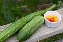 "Siêu trái cây" giúp dưỡng ẩm da trong mùa đông