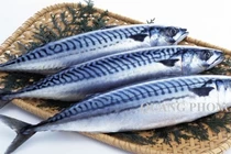 Ăn cá nhiều có tốt không? 