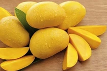 Lợi ích tuyệt vời của quả xoài đối với sức khoẻ