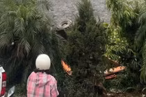 Quảng Ninh: Máy xúc mất phanh rơi xuống bờ kè, tài xế tử vong