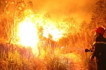 Cháy lớn tại khu rừng trồng bạch đàn ở Tam Đảo