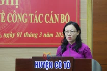 Chân dung nhà báo Lê Ngọc Hân làm Bí thư Huyện ủy Cô Tô