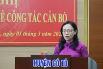 Chân dung nhà báo Lê Ngọc Hân làm Bí thư Huyện ủy Cô Tô