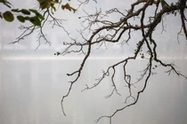 Dự báo thời tiết ngày 20/2: Bắc Bộ tiếp tục mưa rét, nồm ẩm