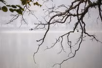 Dự báo thời tiết ngày 20/2: Bắc Bộ tiếp tục mưa rét, nồm ẩm